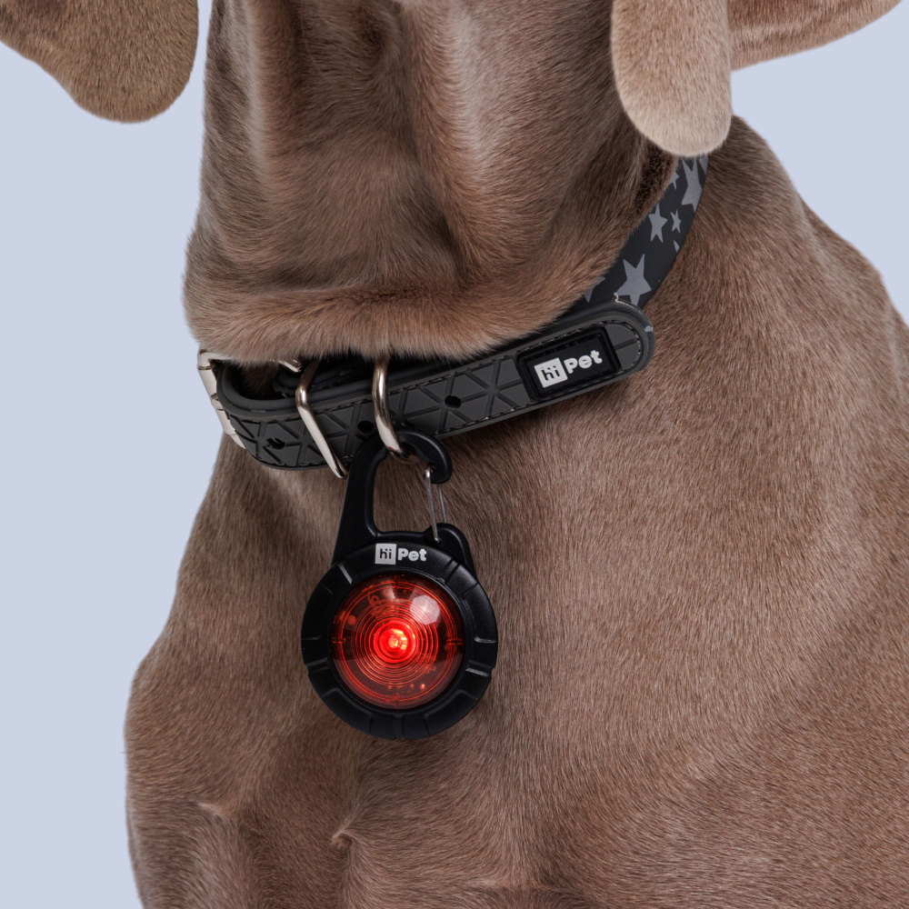 HiPet Светодиодный маячок к ошейнику с usb-зарядкой для собак, красный