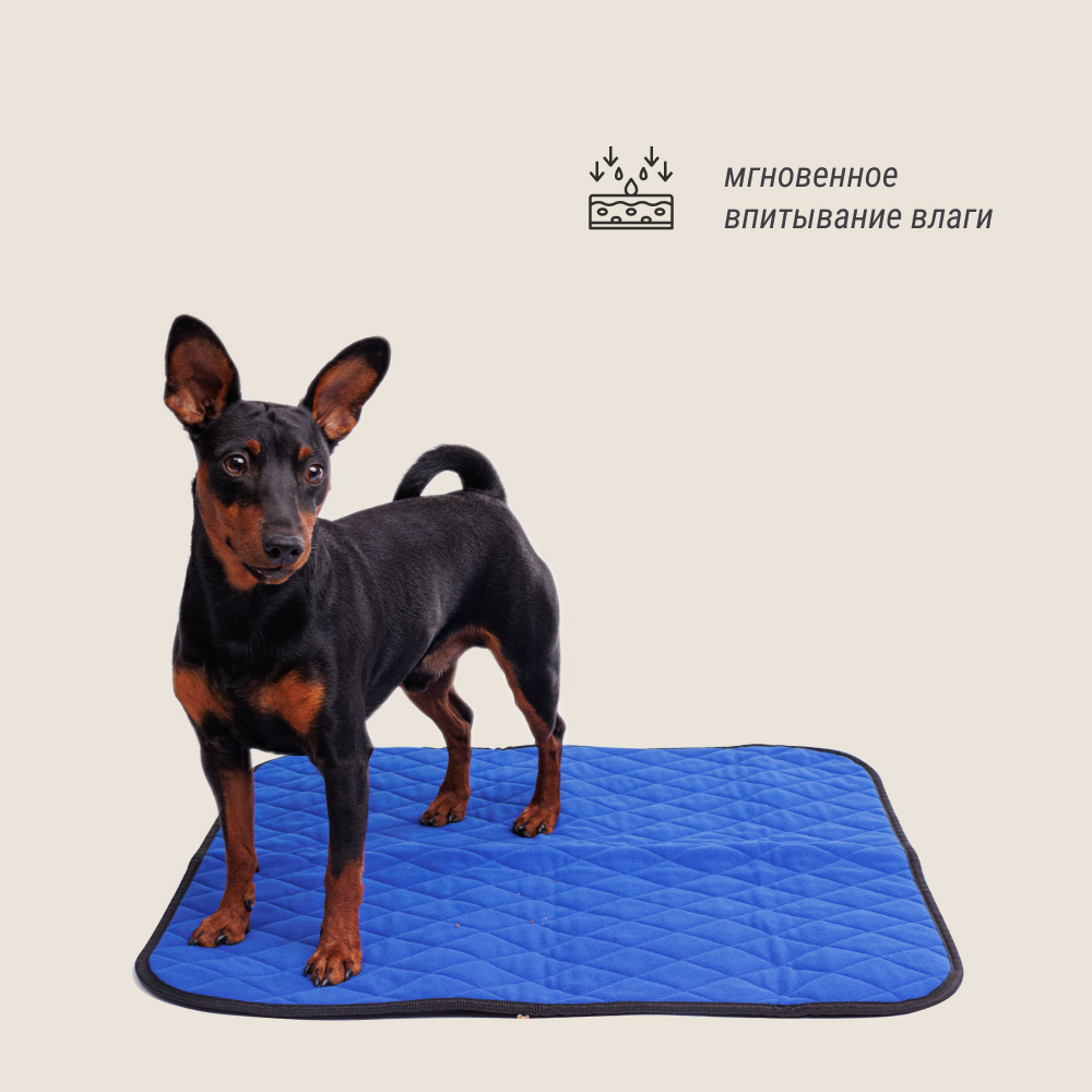 Rurri Многоразовая пеленка для собак со швейцарской антибактериальной пропиткой и мембраной, 60x60 см, синяя