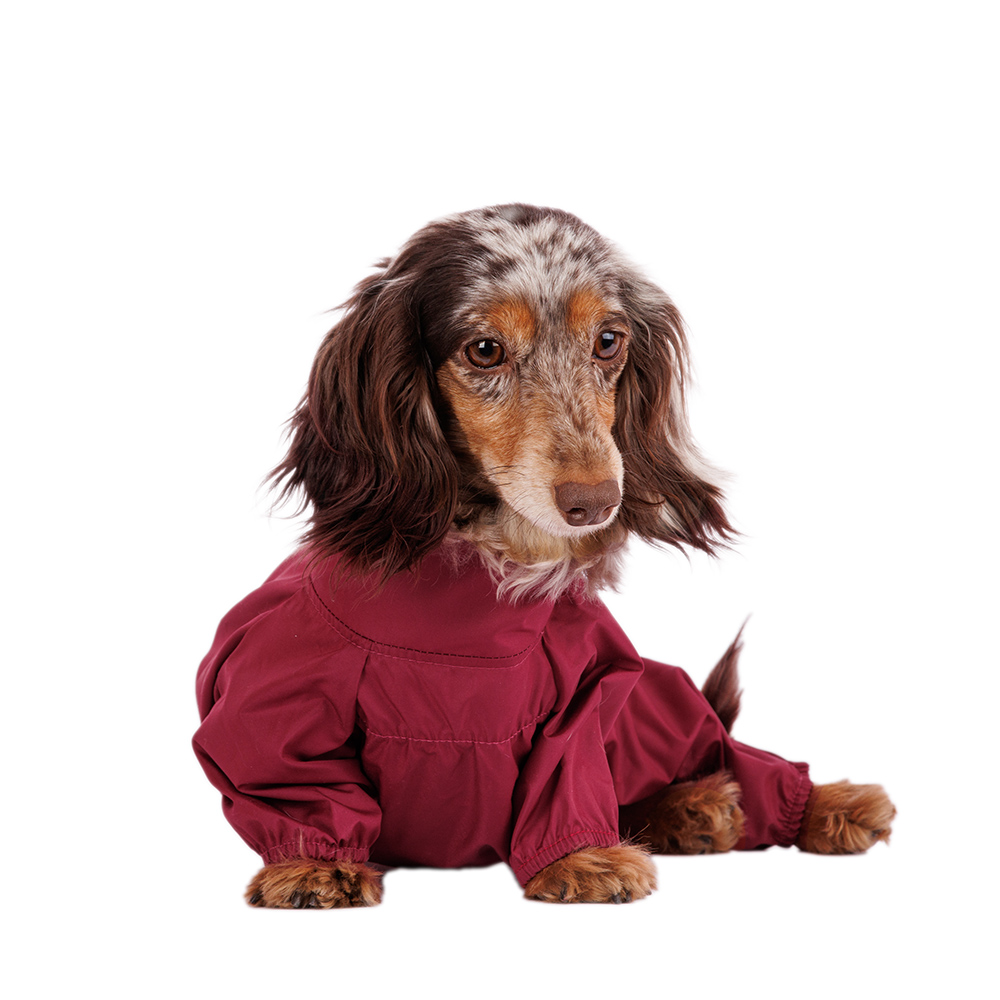 Rurri Дождевик для собак, XL, бордовый (девочка)
