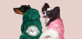 Одежда для собак DOGMODA: купить одежду для собак, красивая одежда для собак
