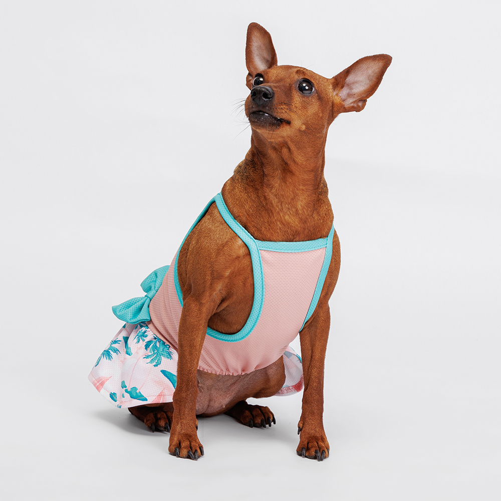 Rurri Платье для кошек и собак, M, розово-голубое