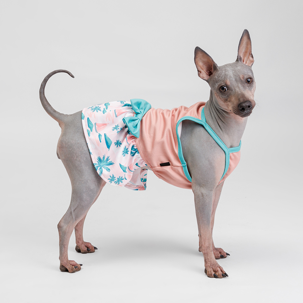 Rurri Платье для кошек и собак, XL, розово-голубое