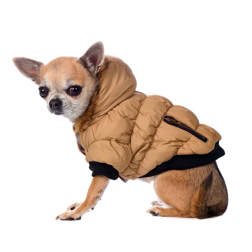Rurri Куртка с меховым капюшоном для собак XS бежевый (унисекс) 