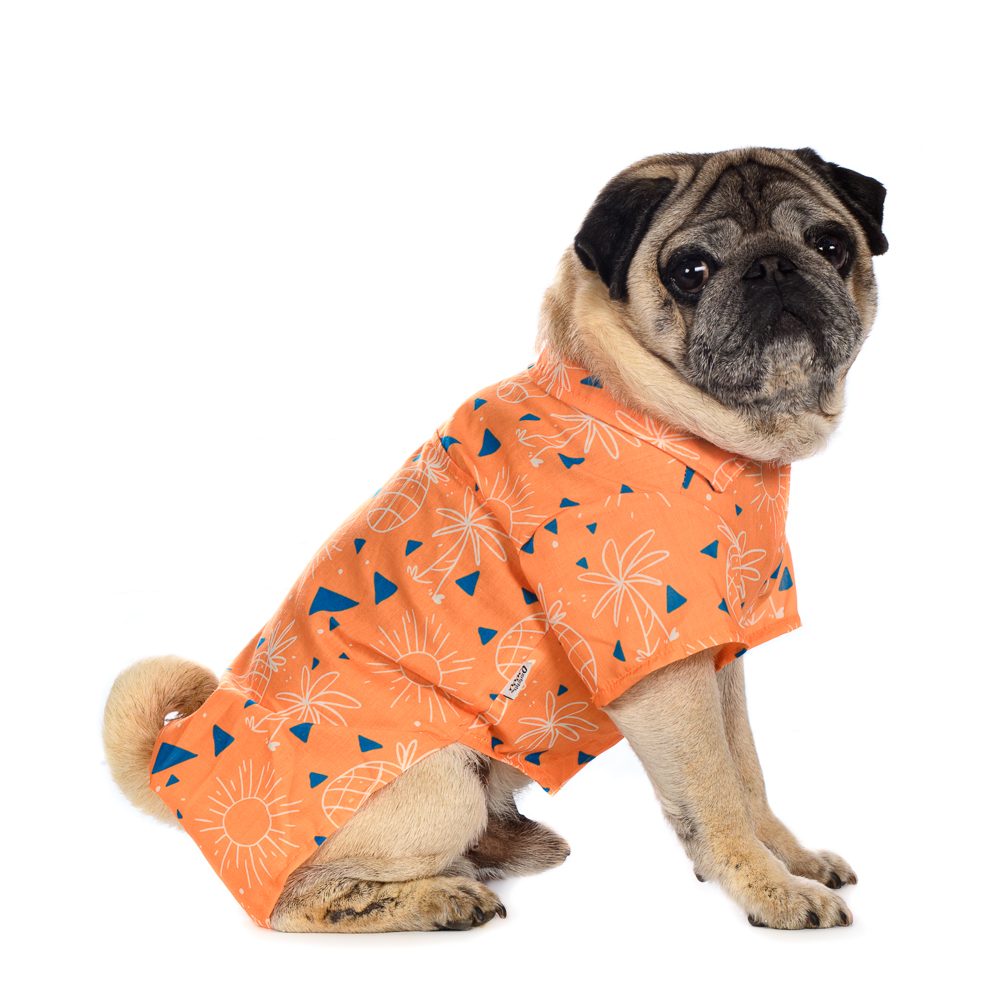Rurri Рубашка для собак с пальмами L оранжевый (унисекс)
