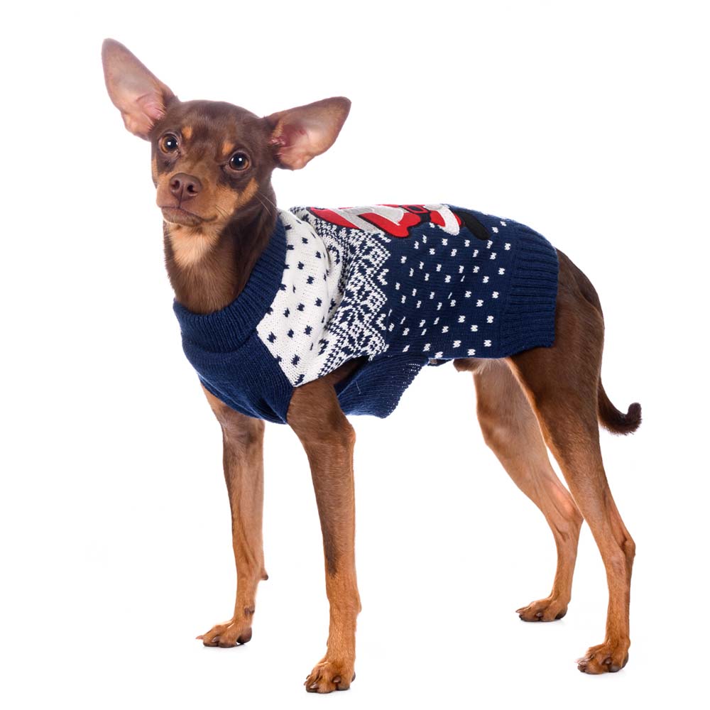 

Rurri Свитер для собак Танцор Дед Мороз M синий (унисекс)