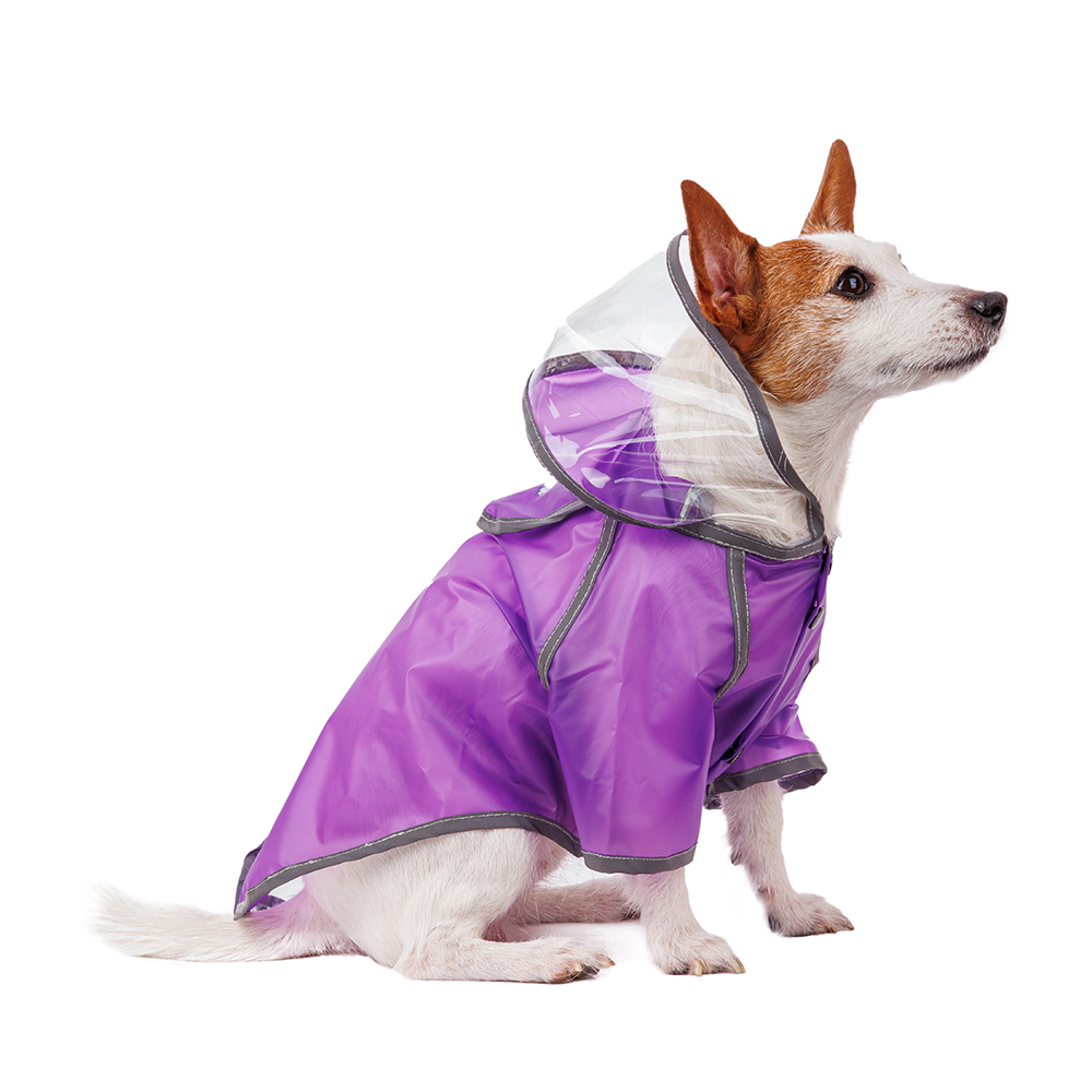 Aвва Дождевик для собак с капюшоном XL фиолетовый (унисекс)