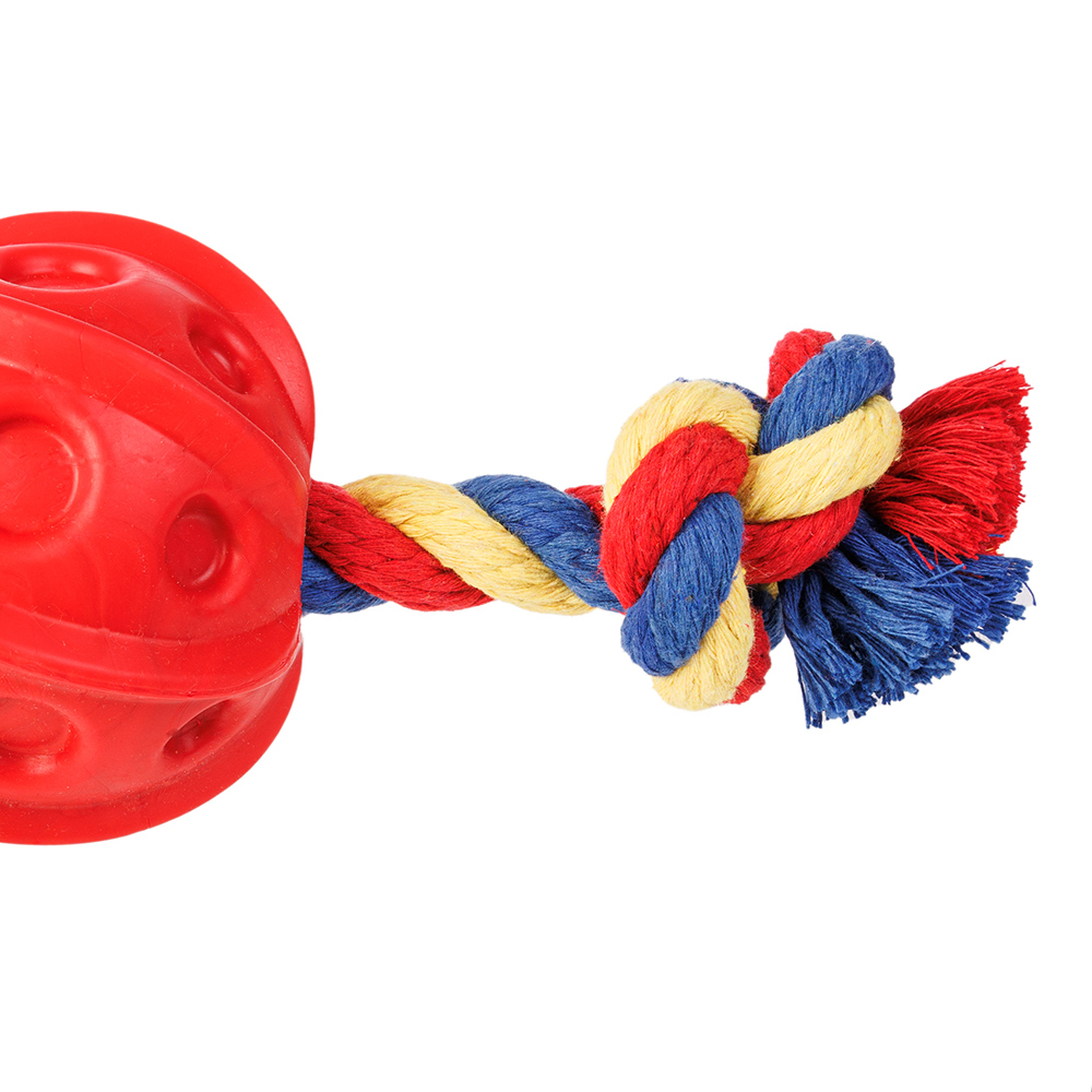 Pet Hobby Игрушка для собак Мяч на веревке, 9,5 см, красный