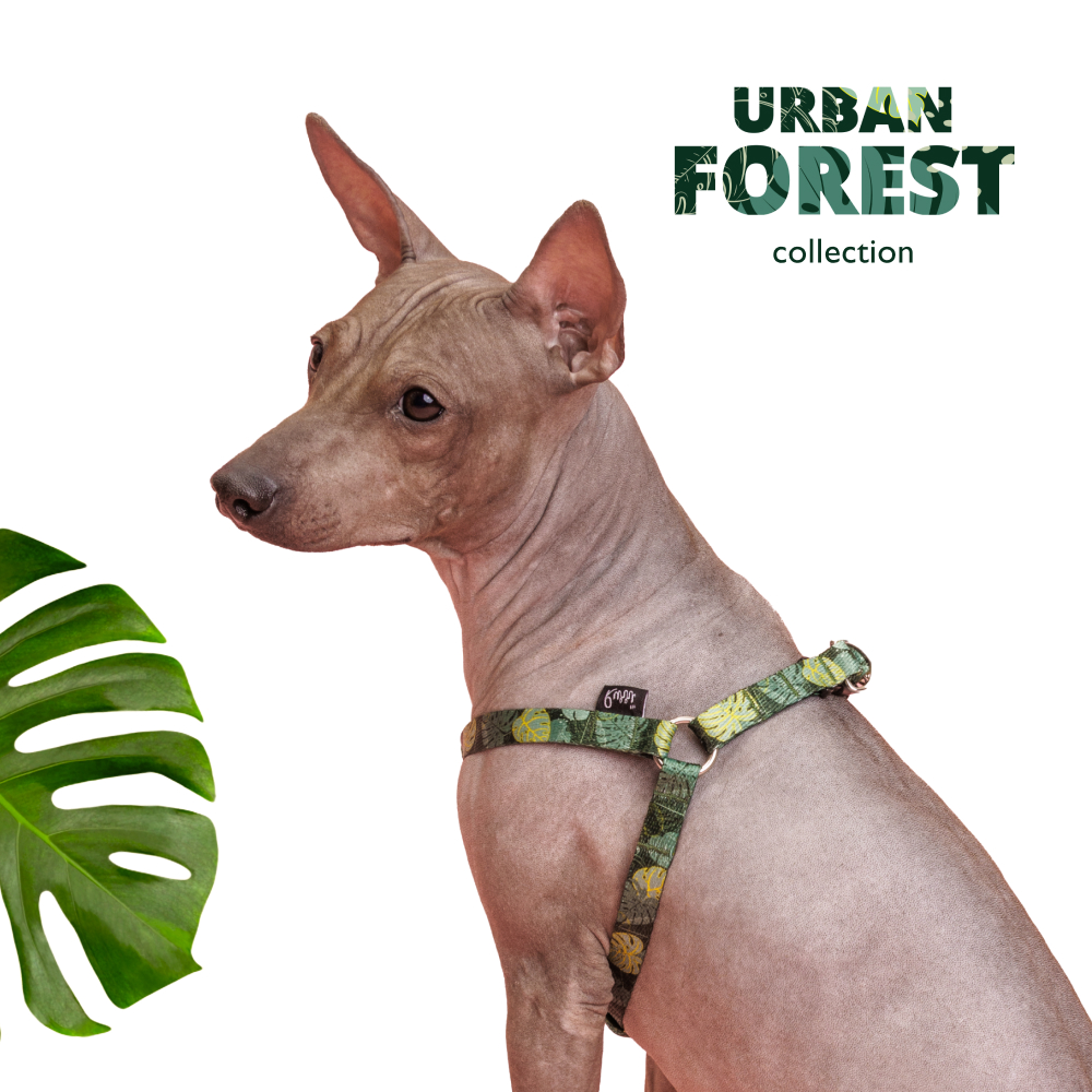 Rurri Шлейка для собак Urban Forest, M, 45-63 см, 15 мм