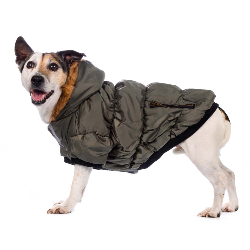 Rurri Куртка с меховым капюшоном для собак XS зеленый (унисекс) 