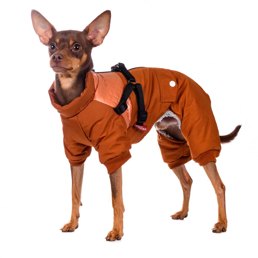 

Petmax Комбинезон на молнии со шлейкой для собак M оранжевый (унисекс)