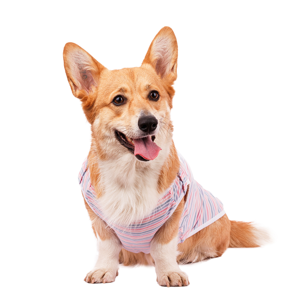 

Petmax Футболка для собак 3XL розовый (унисекс)