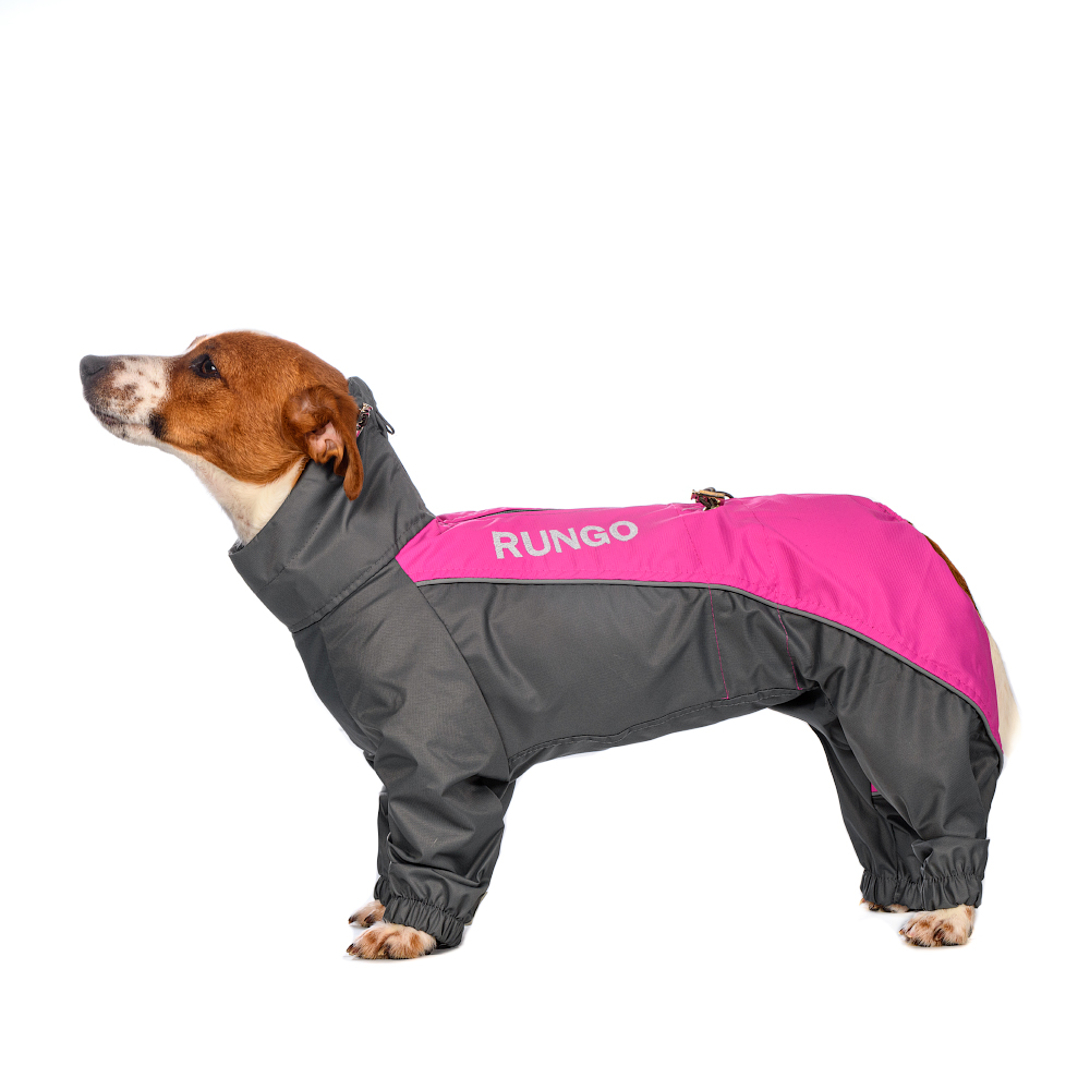 

Rungo Дождевик Стаффорд Терьер девочка, фуксия