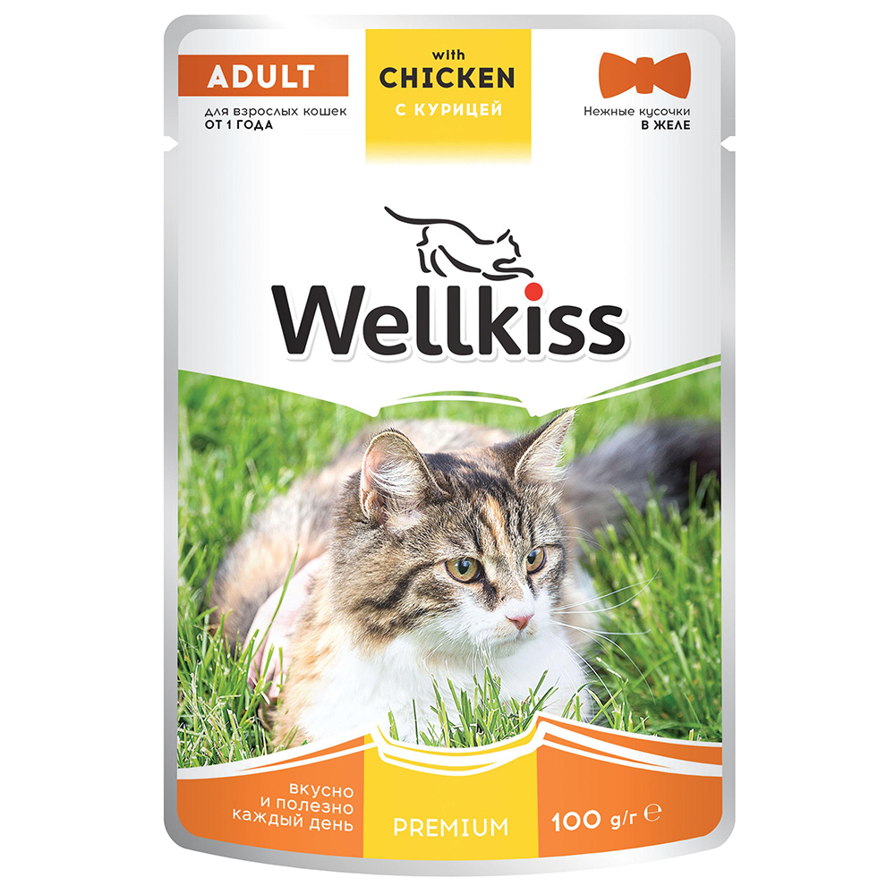 Wellkiss Adult Влажный корм (пауч) для взрослых кошек, с курицей в желе, 100 гр.