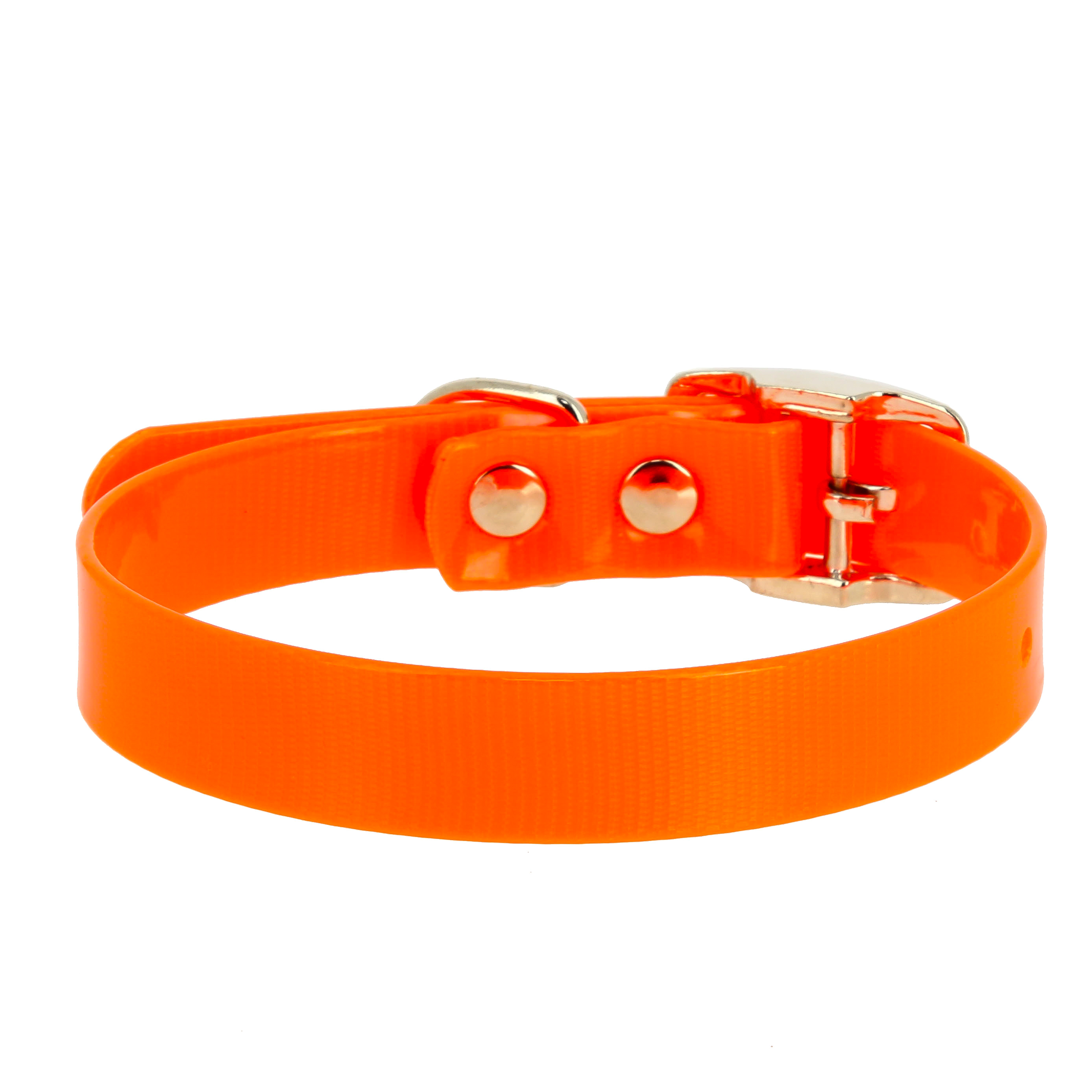 

Каскад Ошейник из биотана шир. 25мм, обх. шеи. 44-56,5см, оранжевый