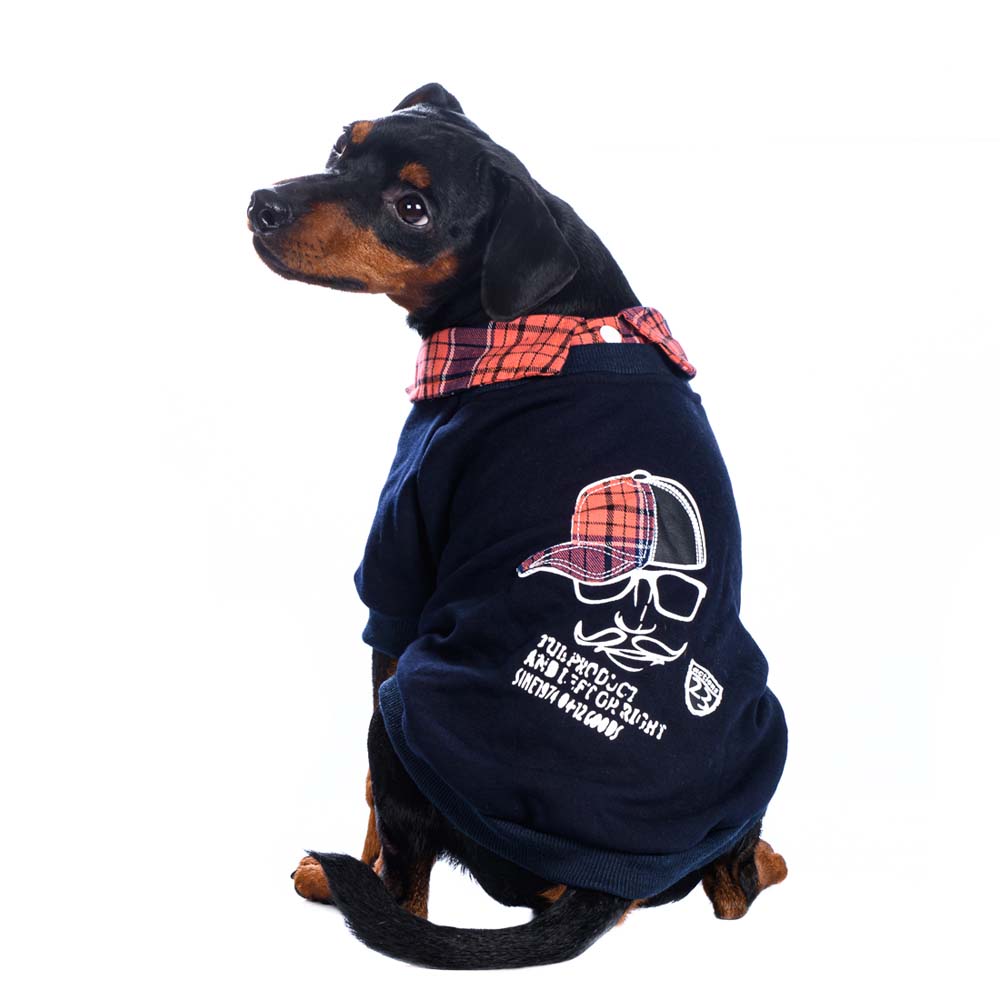 

Petmax Толстовка для собак синяя рис кепка M