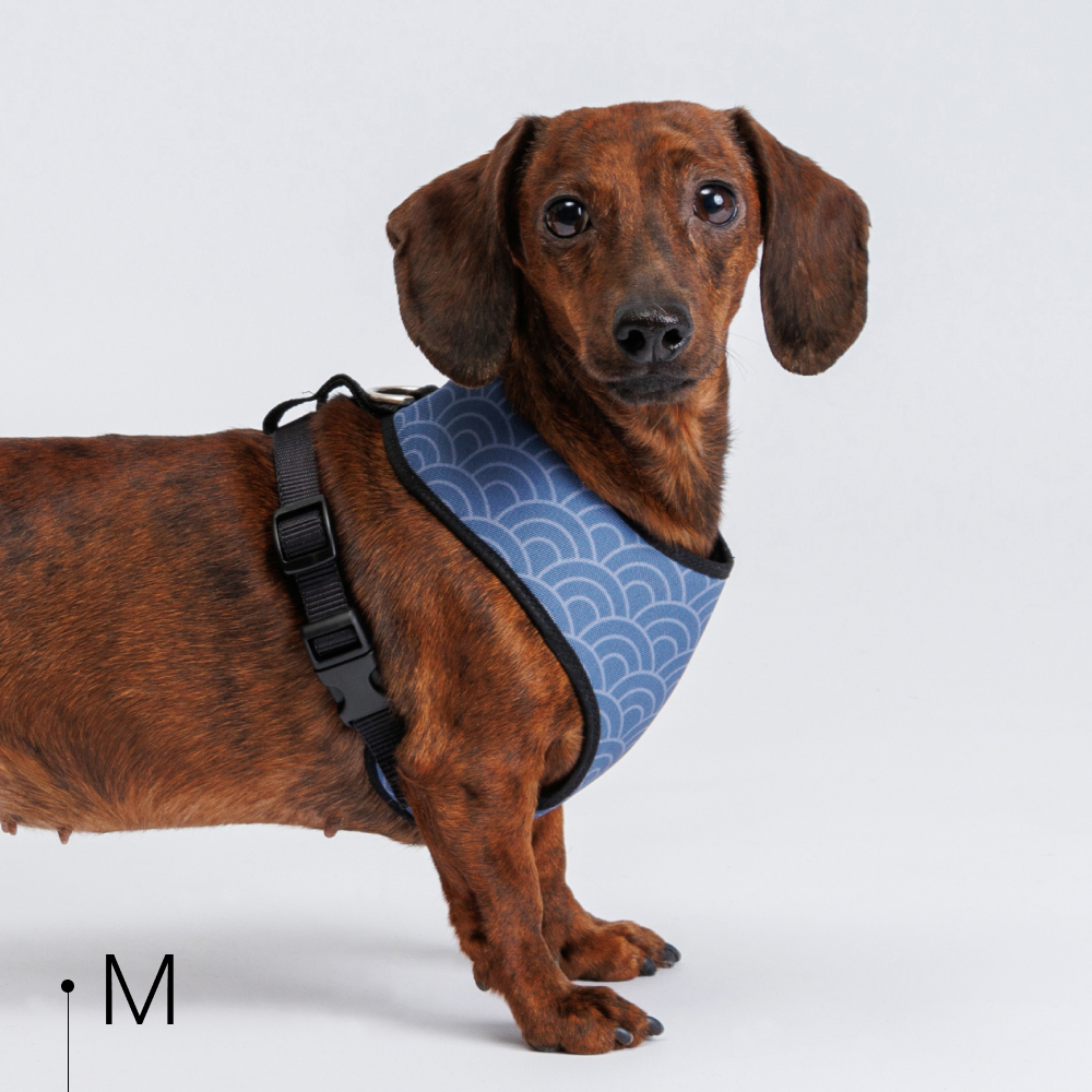 Rurri Шлейка для собак Синяя чешуя, M, обхват груди 40-52 см