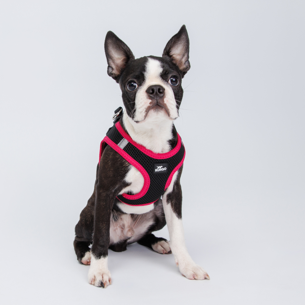 Rungo Шлейка-жилетка для собак Air, обхват груди 30-35 см, лента 10 мм, розовая