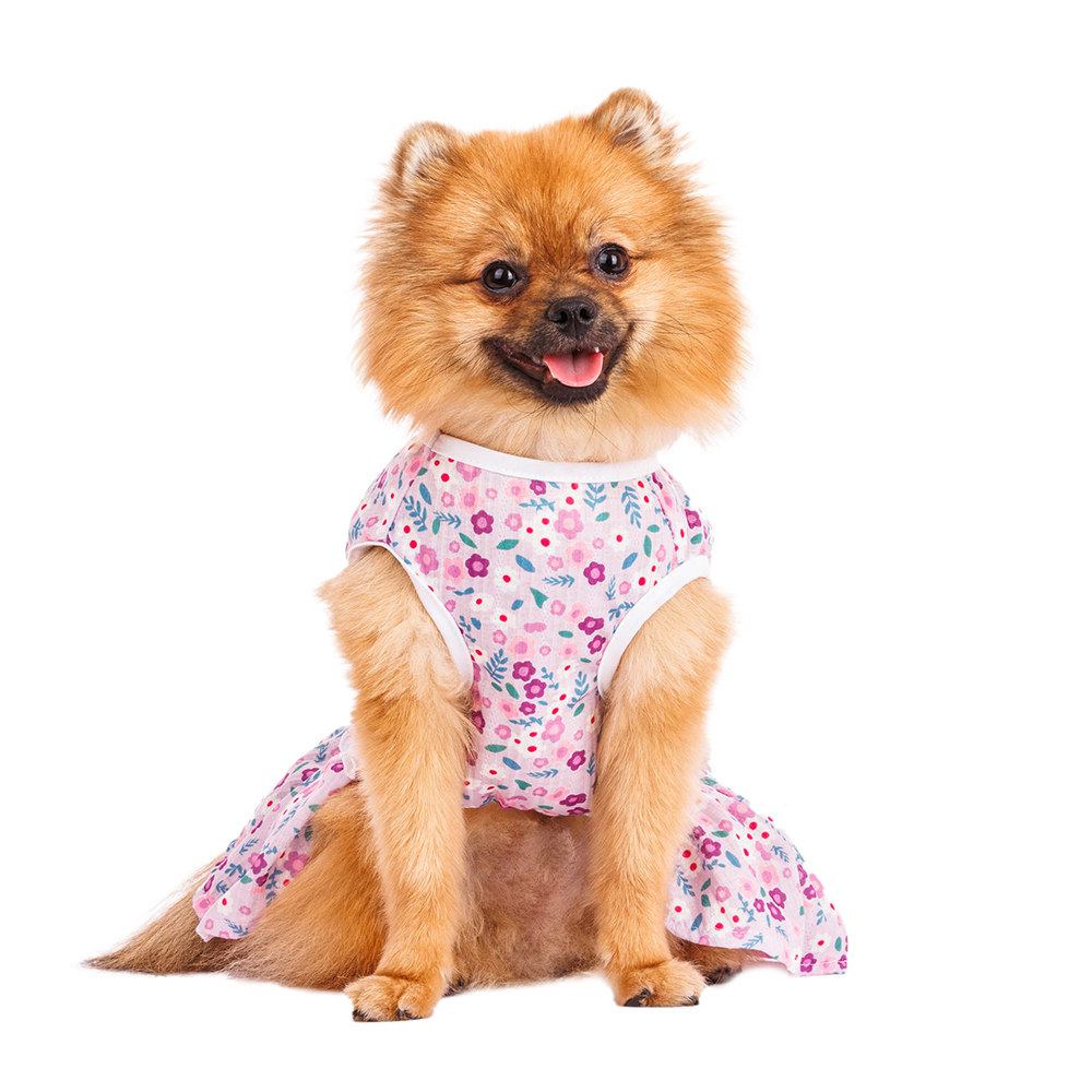 Petmax Платье для собак в цветочек M фиолетовый (девочка) 