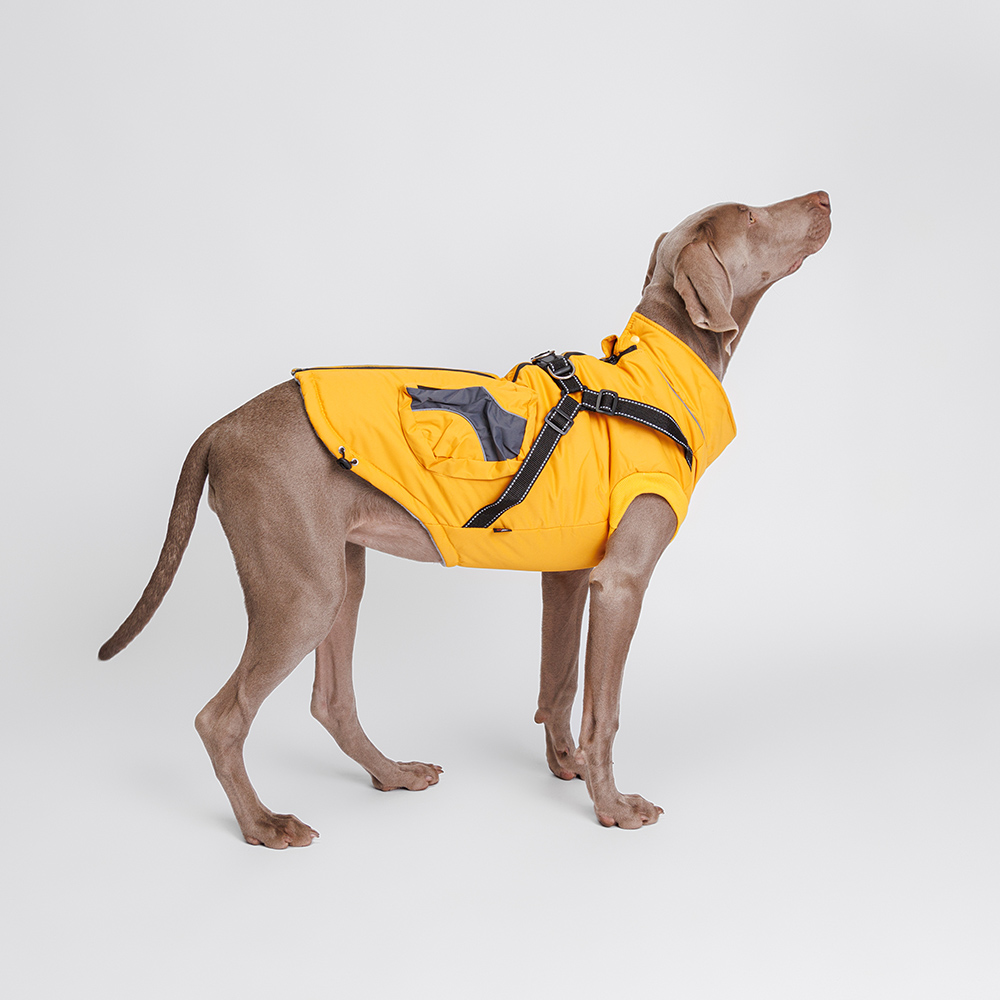 Rungo Куртка-жилетка со шлейкой для собак, 3XL, желтая