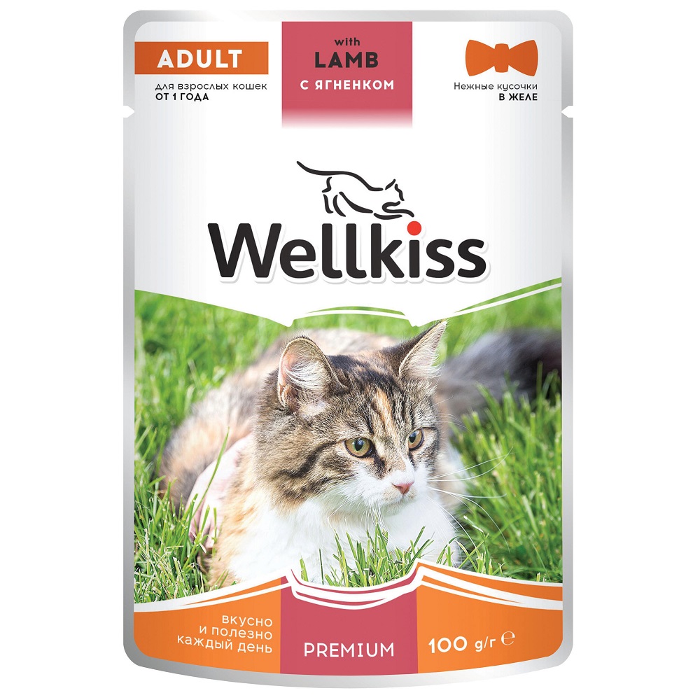 Wellkiss Adult Влажный корм (пауч) для взрослых кошек, с ягненком в желе, 100 гр.