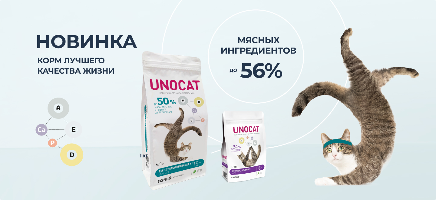 Котойога для кошки: сухие + влажные корма UNOCAT - интернет-зоомагазин  Четыре Лапы