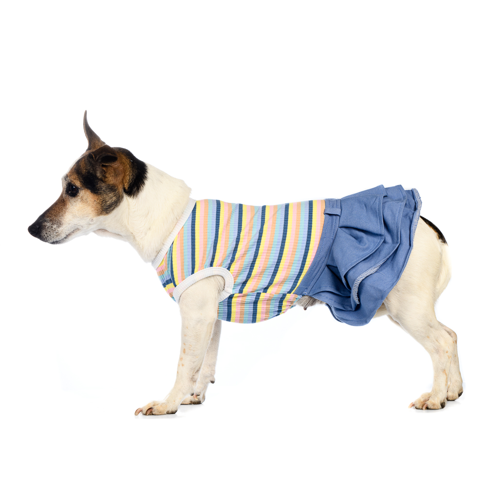 Petmax Платье для собак XS голубой (унисекс)