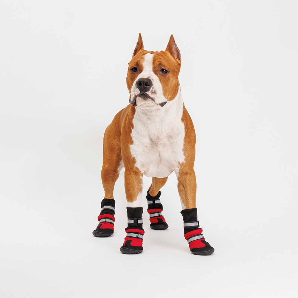 Ботинки высокие на липучках для собак, M, красные