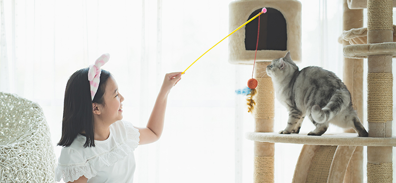 Интерактивные игрушки для кошек: с мятой, с шариком, с перьями