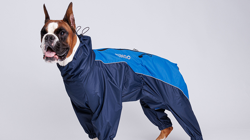 Производители одежды для собак: ТОП-5