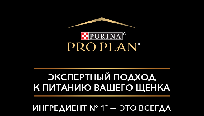 Purina_ProPlanPuppy_Rich_01.jpg