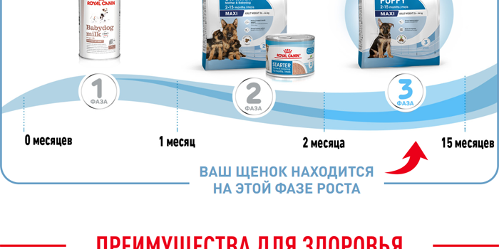 screencapture-file-C-Users-Desktop-Royal-Canin-MAXI-PUPPY-DRY-MAXI-PUPPY-DRY-index-html-2022-08-25-14_12_10_03.png
