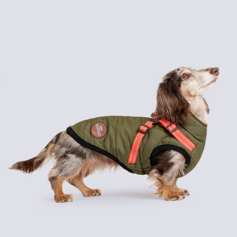 Rungo Попона теплая со шлейкой для собак, обхват шеи 39 см, обхват груди 50-56 см, длина спины 35 см, зеленая Rungo Попона теплая со шлейкой для собак, обхват шеи 39 см, обхват груди 50-56 см, длина спины 35 см, зеленая