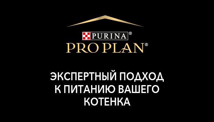 Purina_Pro_Plan_Kitten_Rich_4lapy_01.jpg