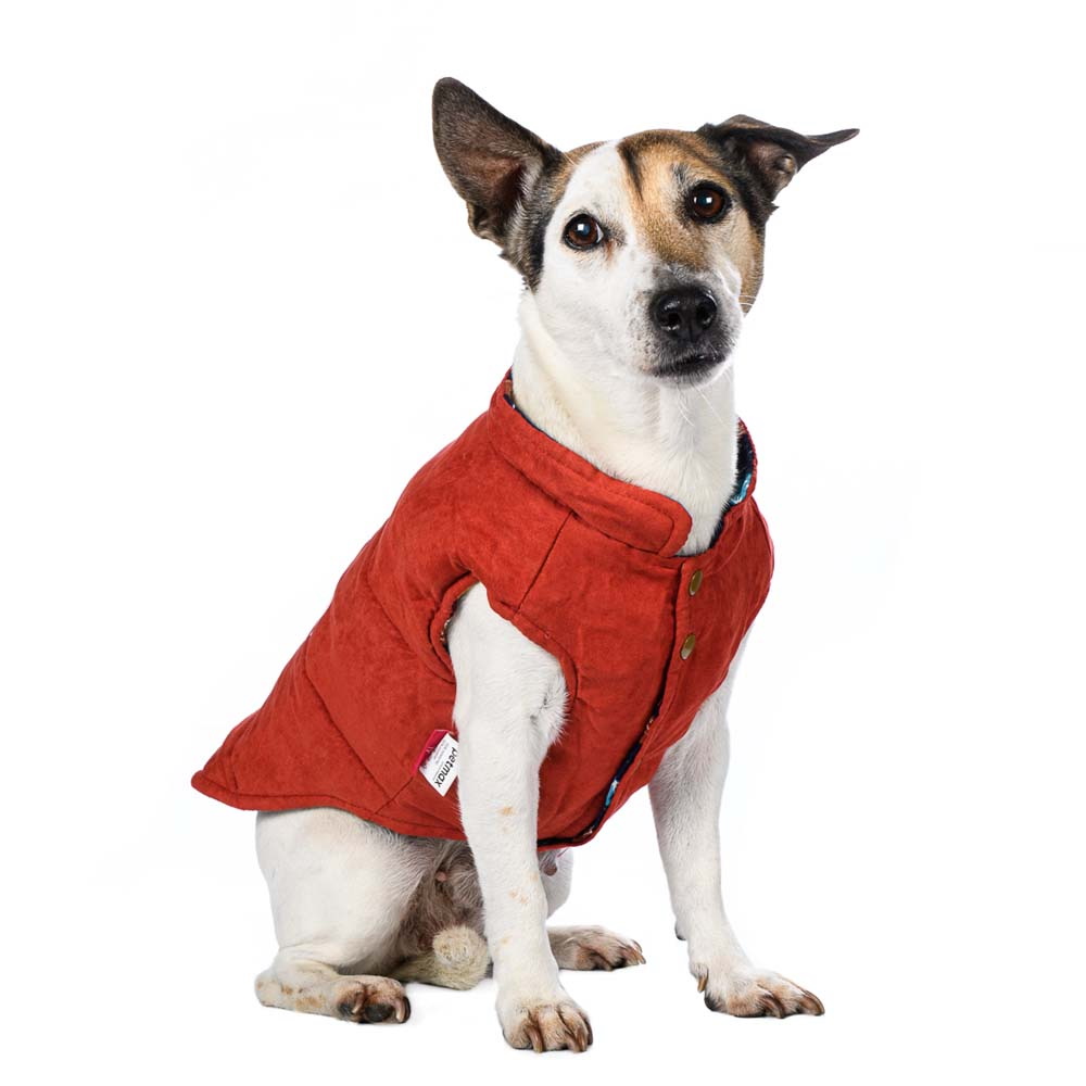  Куртка для собак двухсторонняя оранжевая с лапкой XS