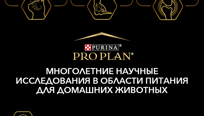 Purina_Pro_Plan_Kitten_Rich_4lapy_06.jpg