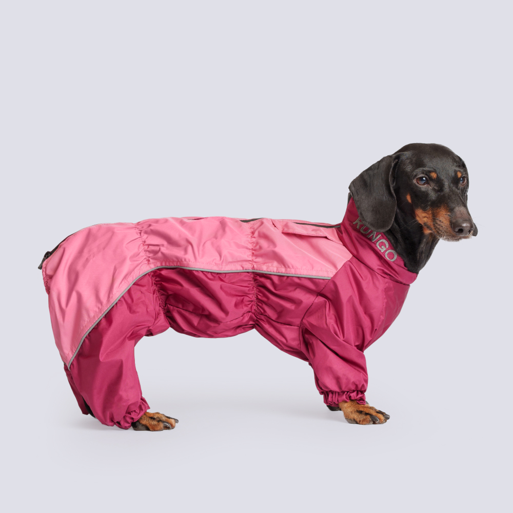 Rungo Комбинезон теплый для собак породы такса большая, обхват шеи 39 см, обхват груди 65 см, длина спины 46, бордовая (девочка) Rungo Комбинезон теплый для собак породы такса большая, обхват шеи 39 см, обхват груди 65 см, длина спины 46, бордовая (девочка)