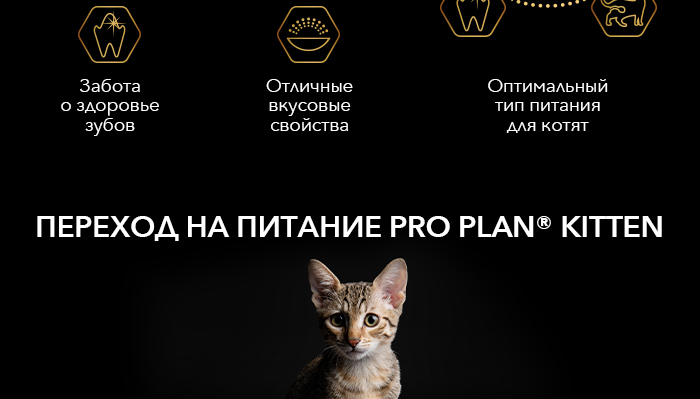 Purina_Pro_Plan_Kitten_Rich_4lapy_11.jpg