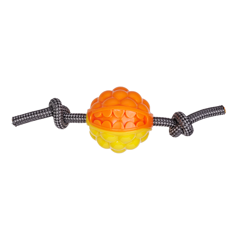 Игрушка для собак Мяч с веревками, 6,5 см