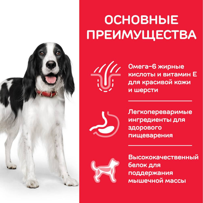 Science Plan Canine Adult консервы для собак, с курицей, 370 г