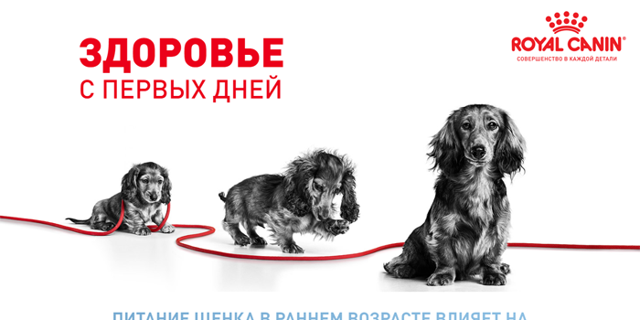 screencapture-file-C-Users-Desktop-Royal-Canin-MAXI-PUPPY-DRY-MAXI-PUPPY-DRY-index-html-2022-08-25-14_12_10_01.png