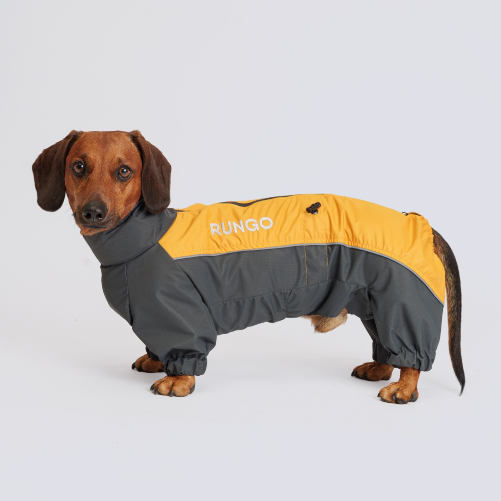 Rungo Дождевик с мембраной и резиновой молнией для средней таксы, длина спины 40 см, обхват груди 58 см, горчица (мальчик) Rungo Дождевик с мембраной и резиновой молнией для средней таксы, длина спины 40 см, обхват груди 58 см, горчица (мальчик)