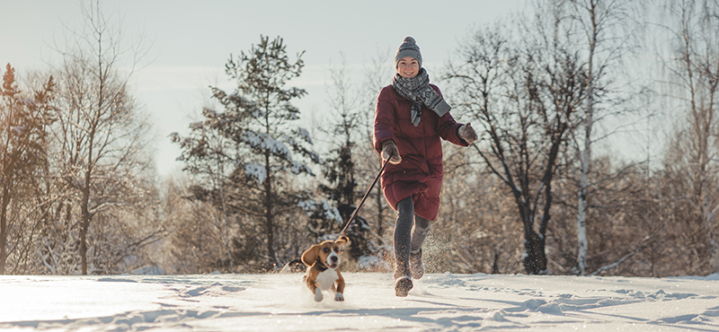 Как гулять с собакой зимой