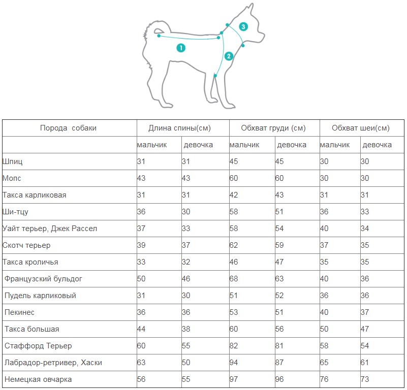Мерки йоркширского терьера. Обхват шеи щенка немецкой овчарки. Параметры щенка немецкая овчарка 3 мес обхват шеи. Rungo одежда для собак Размерная сетка. Обхват шеи щенка немецкой овчарки по месяцам.