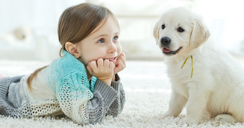 В доме появился щенок: инновации для воспитания собаки