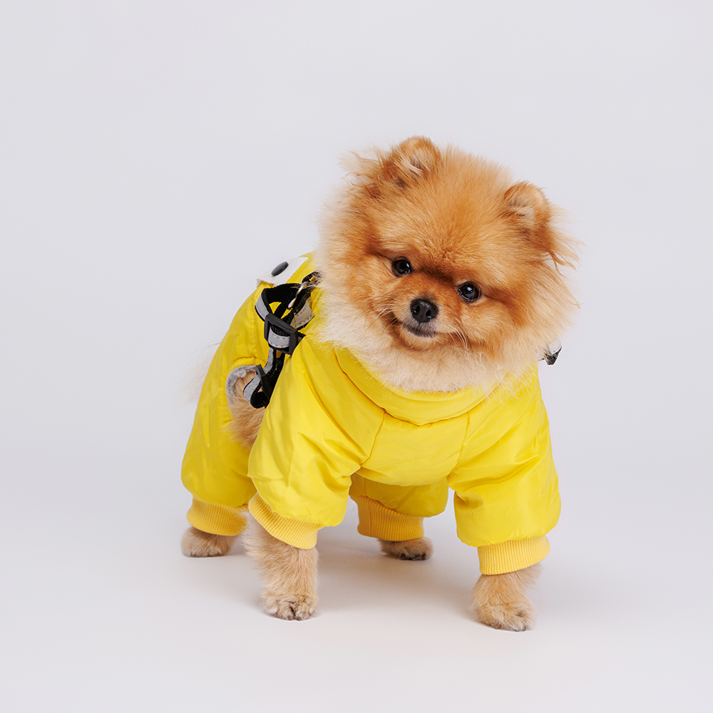Комбинезон со шлейкой для собак, M, желтый