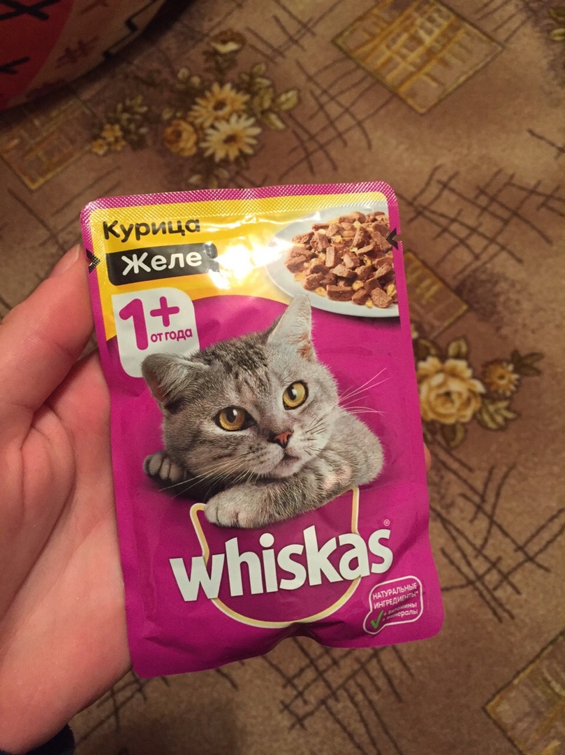 Jarvi корм для кошек купить