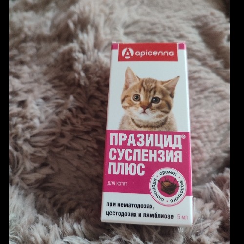 Жапон порносы