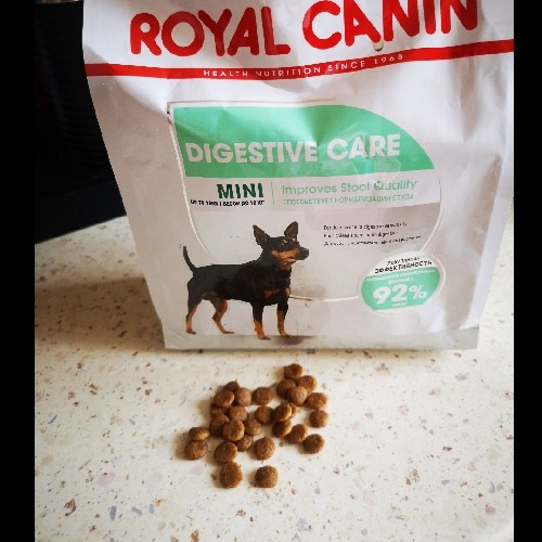 Royal canin sales mini digestive care