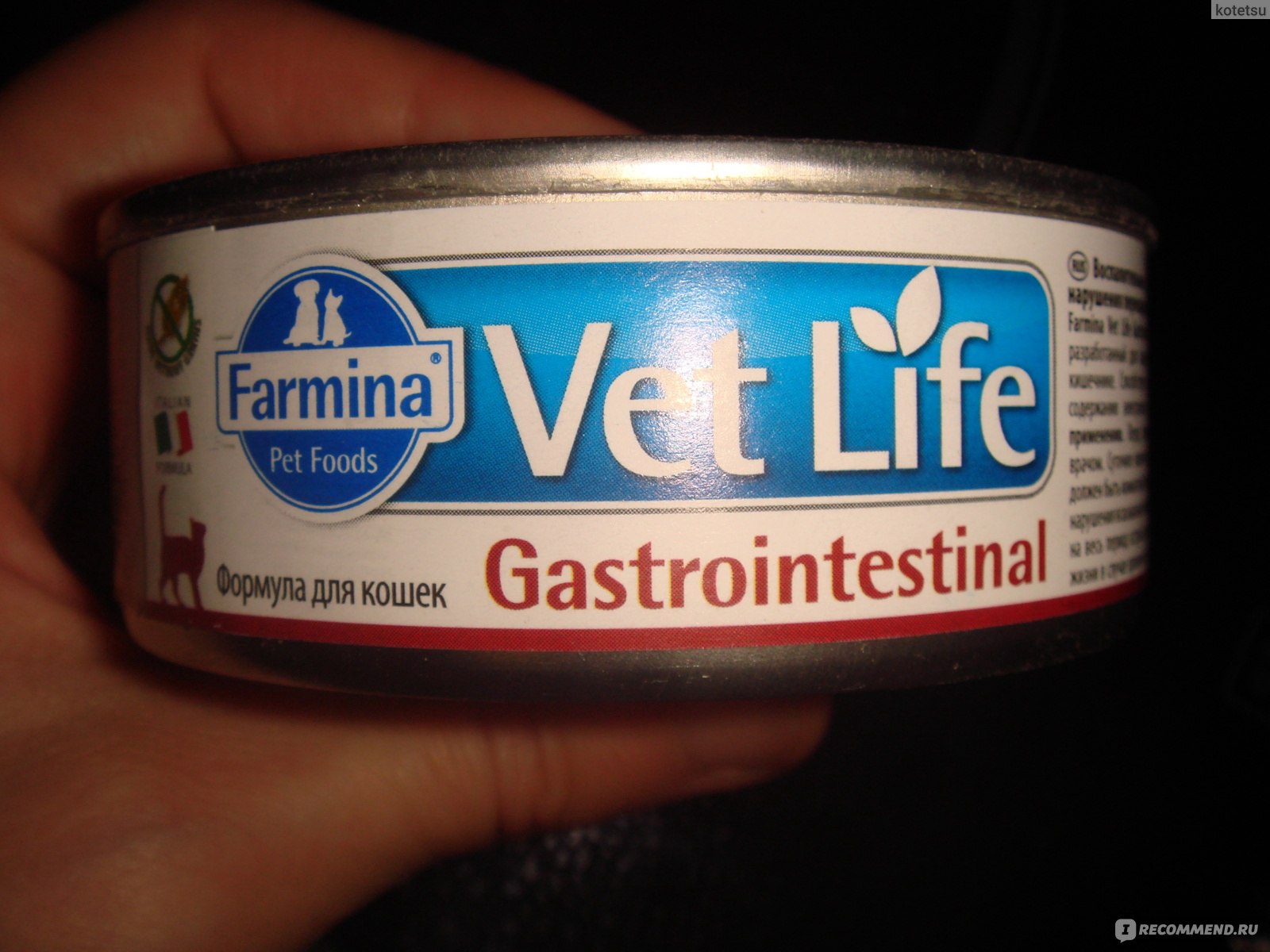 Vetlife gastrointestinal. Корм для кошек влажный Gastrointestinal vet. Фармина Gastrointestinal для кошек. Фармина гастро для кошек влажный. Фармина Ренал для кошек паштет.